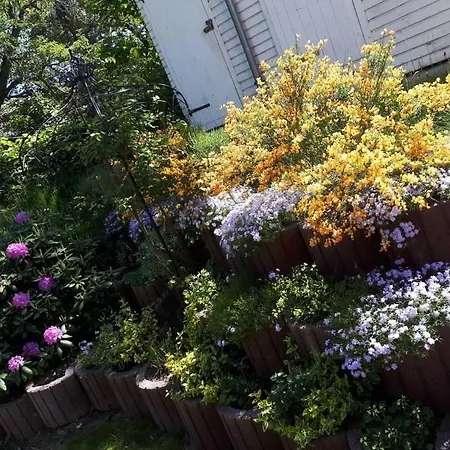 Lägenhet Blaue Nole *